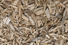 biomass boilers Penrhosfeilw